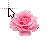 Pink Rose 2.cur Preview