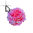 Pink Rose 3.cur Preview