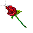 test_rose.cur