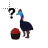 Cassowary help.ani Preview