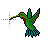 Hummingbird II normal select.ani Preview