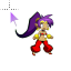 Shantae - Normal.ani HD version