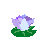 cursor-water lilly1.ani