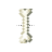 Minecraft Text Select (bone).cur