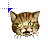 mw3 cat.cur Preview