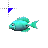 Cyan Surgeonfish.cur Preview