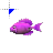 Purple Surgeonfish.cur Preview