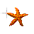 starfish.ani Preview