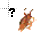help.ani