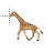 running giraffe.ani Preview