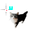 Cat Working in Background.ani Preview