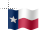 Texas flag-wave.ani Preview