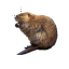 Bober z Olsztyna.cur HD version