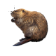 Bober z Olsztyna.cur 200% version