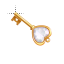 Working magic key.ani HD version