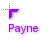 Payne.cur Preview