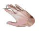 handOpen.cur 200% version