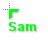 Sam.cur Preview