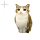 MEOWL CURSOR.cur 200% version