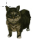 Oo Ee A E A Cat Meme Animated--pointer--SweezyCursors.cur HD version