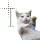 1778988805280.png Preview