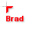 Brad.ani Preview