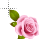 set109_elegant_rose-Elegant rose-appstarting.ani Preview