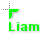 Liam.cur Preview