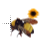 flower boy bee workin bg.ani Preview