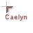 Caelyn.cur