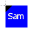 Sam.cur Preview