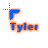 Tyler.ani Preview