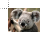 Koala.cur Preview