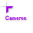 Cameron 2.cur Preview