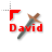 David.ani Preview