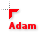 Adam.cur