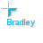 Bradley.cur Preview