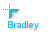 Bradley.cur