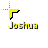 Joshua.cur