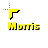 Morris.cur Preview