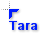 Tara.cur Preview