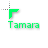 Tamara.cur