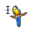 Macaw text.ani Preview