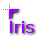 Iris.cur Preview