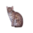 Cat Cursor.cur