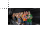 MIKE CENA CURSOR   2.cur Preview