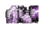 kelly kelly _ 2.cur HD version