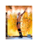 Randy_ Orton_ 2005.cur HD version