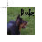  duke cursor.cur