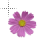 Purple Flower.ani